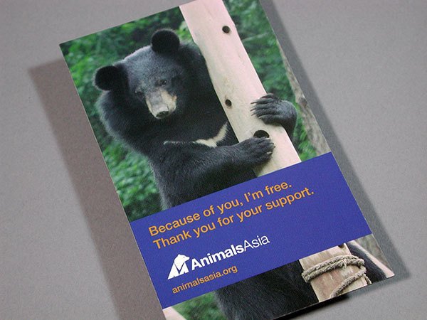 Animals Asia